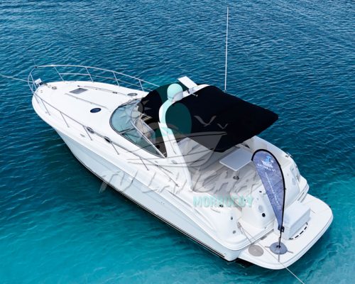 DJI_20250220122944_0607_D