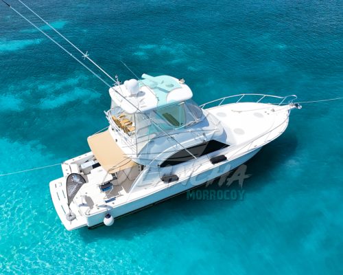 DJI_20250716105327_0119_D