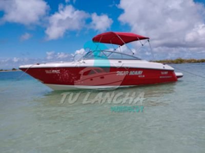 IMG-20241220-WA0038