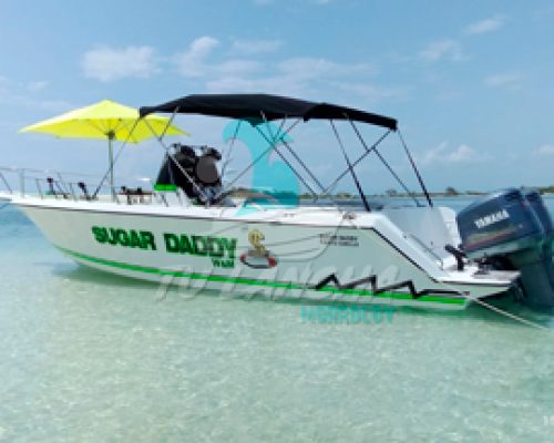 IMG-20241220-WA0048 (1)