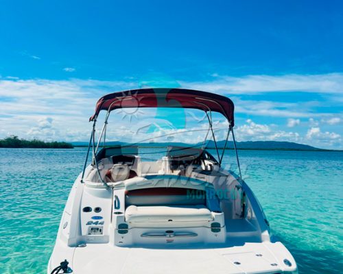 IMG-20250118-WA0087 (1)