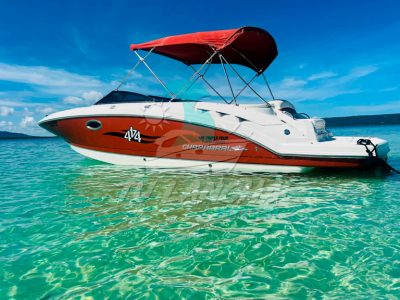 IMG-20250118-WA0092 (1)