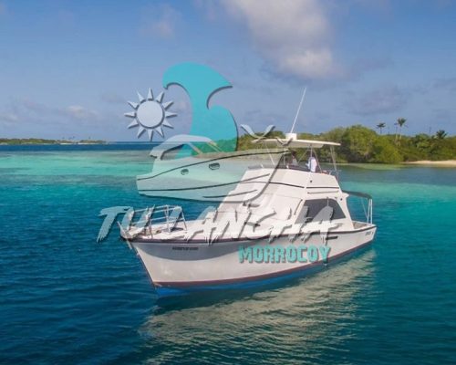 WhatsApp Image 2021-05-18 at 10.35.25 PM (1)