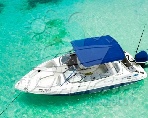 photo_4983548170021743668_y