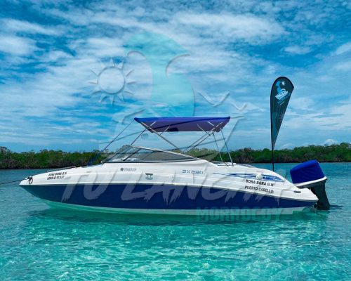 photo_4983548170021743679_y