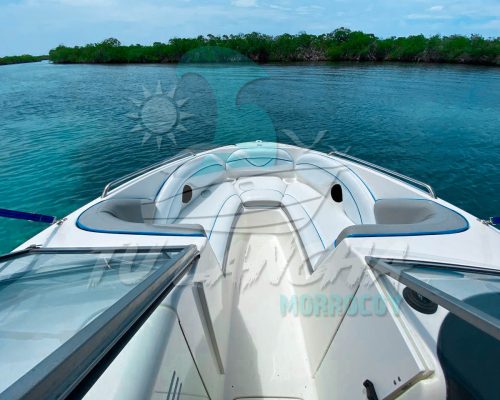 photo_4983548170021743684_y