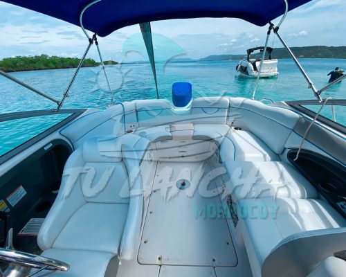 photo_4983548170021743687_y