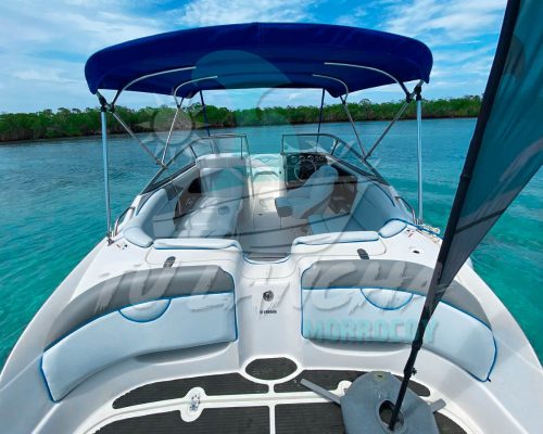 photo_4983548170021743695_y